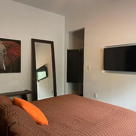 Vive Zen Master Suite For 4 Guests Miami Exterior photo